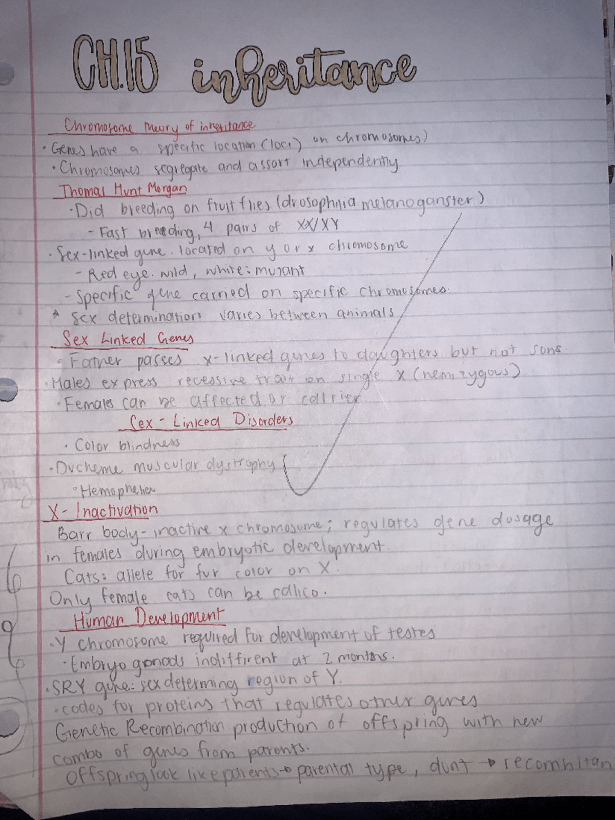 Inheritance AP Bio notes - Studocu