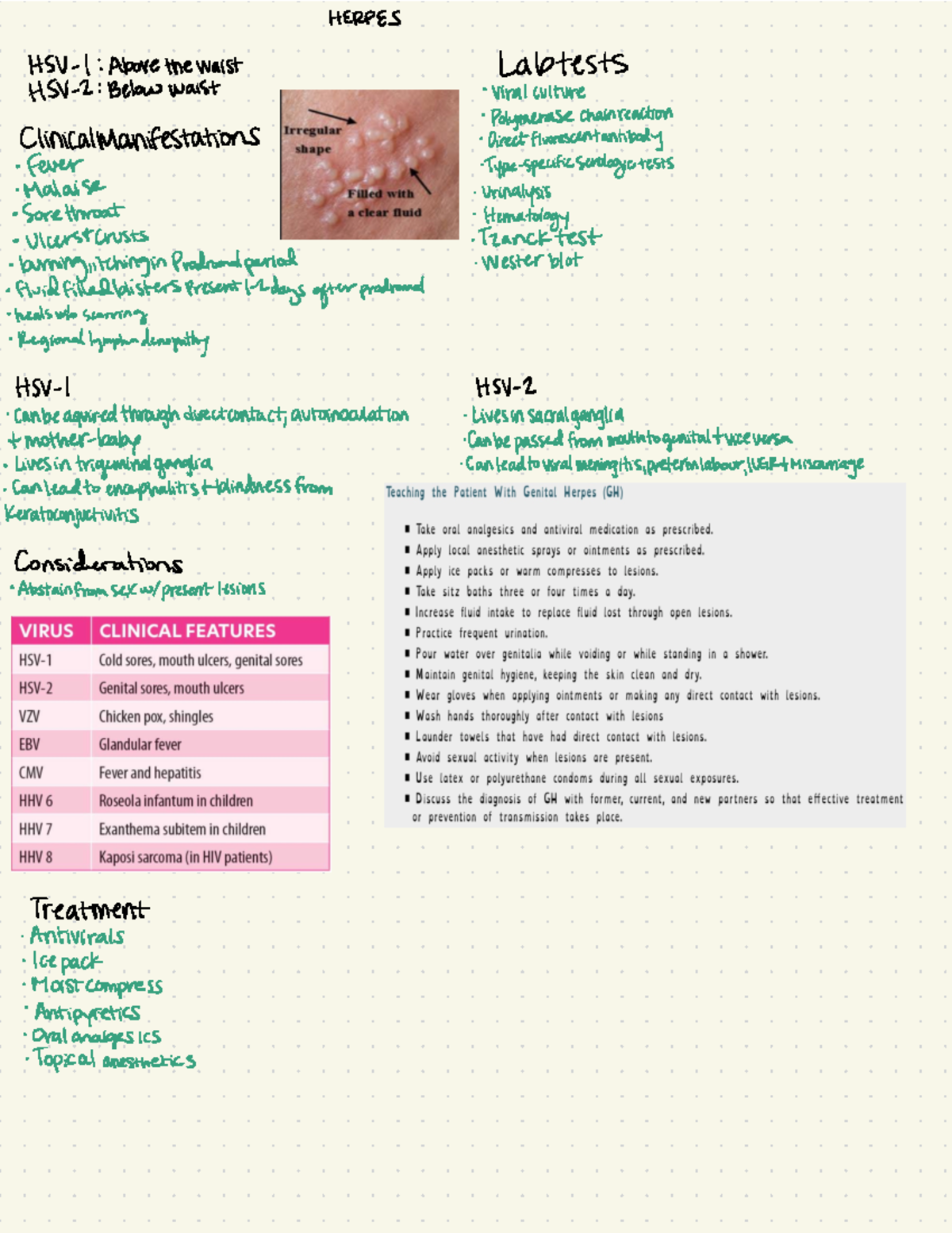 Herpes - Her;es notes - HERPES HSV-1 : Above the waist Labtes/s HSV-2 ...