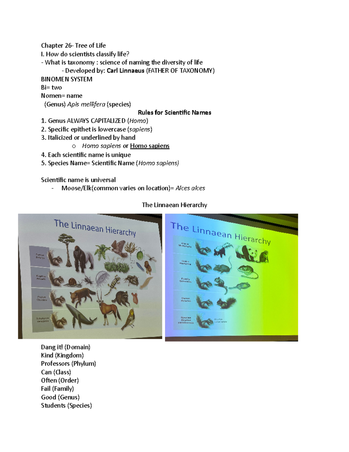Chapter 26 - lecture notes - Chapter 26- Tree of Life I. How do ...