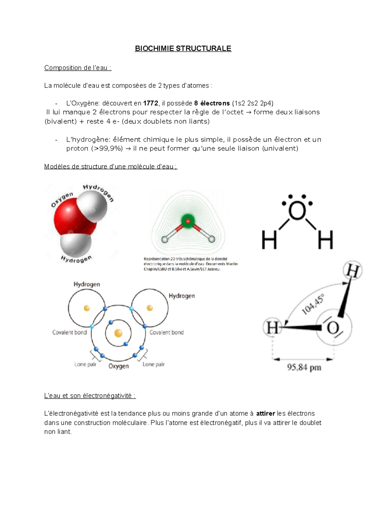 2 - Les Propriétés De L Eau - BIOCHIMIE STRUCTURALE Composition De L ...