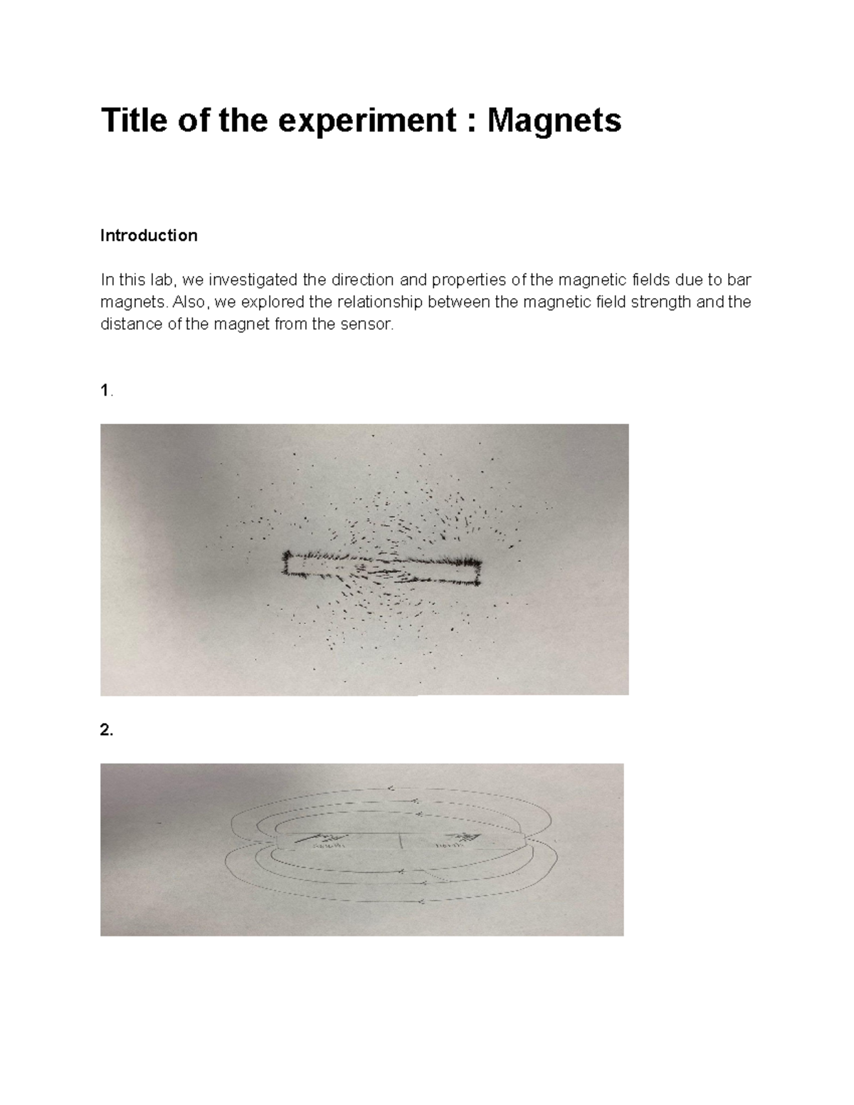 lab report magnetism assignment