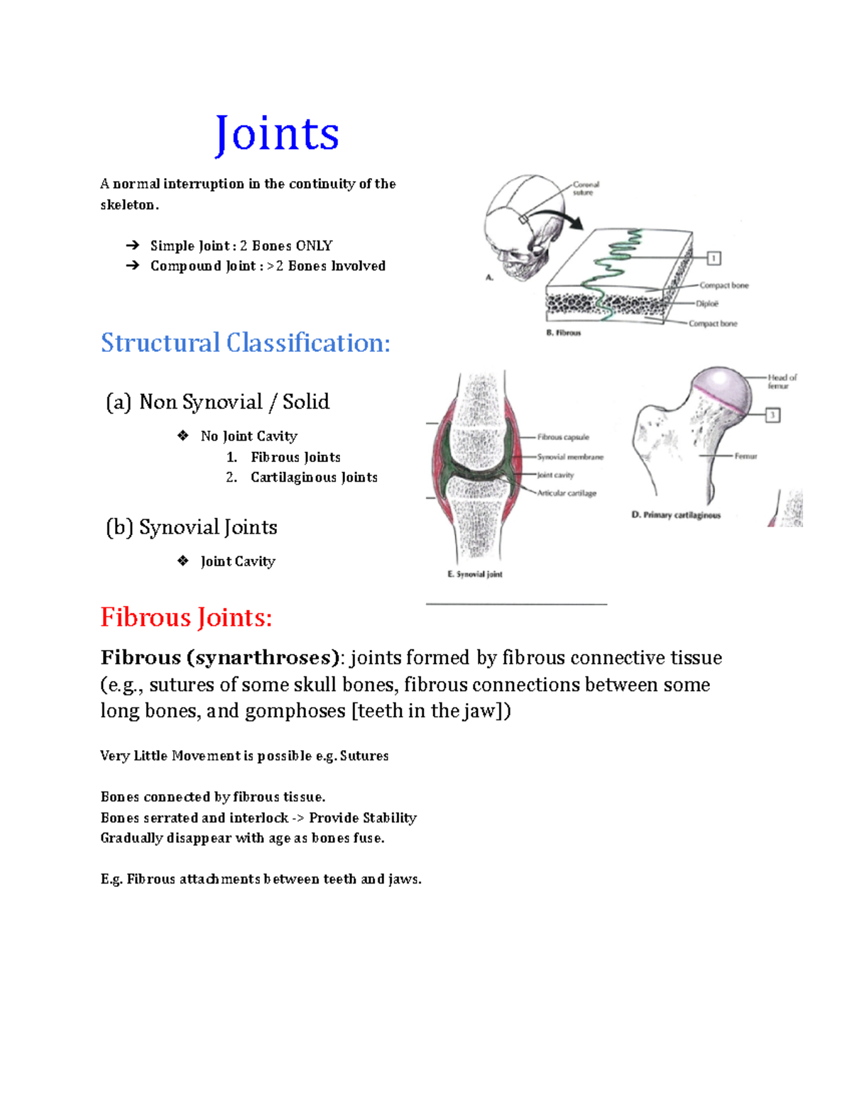 Joints Summary Document - Joints A normal interruption in the ...