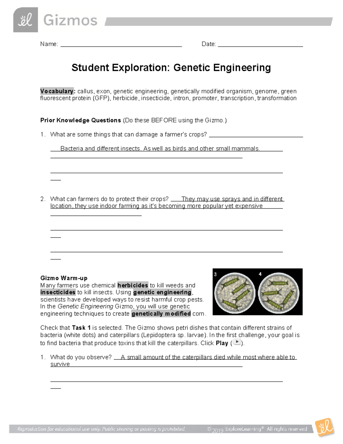 Genetic Engineering SE-1 - Name: Date: Student Exploration: Genetic ...