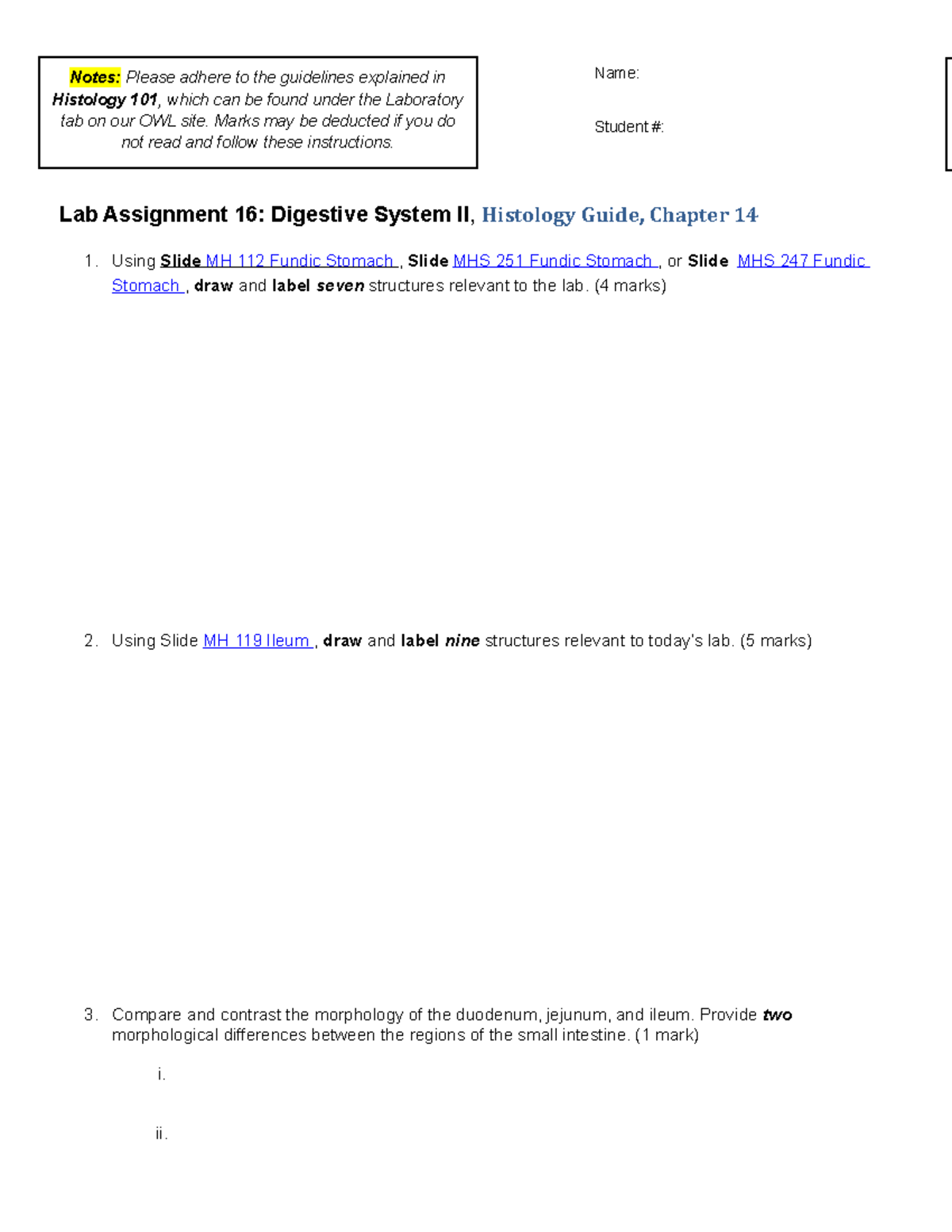 Lab 16 assignment FW21 22 - Lab Assignment 16: Digestive System II ...