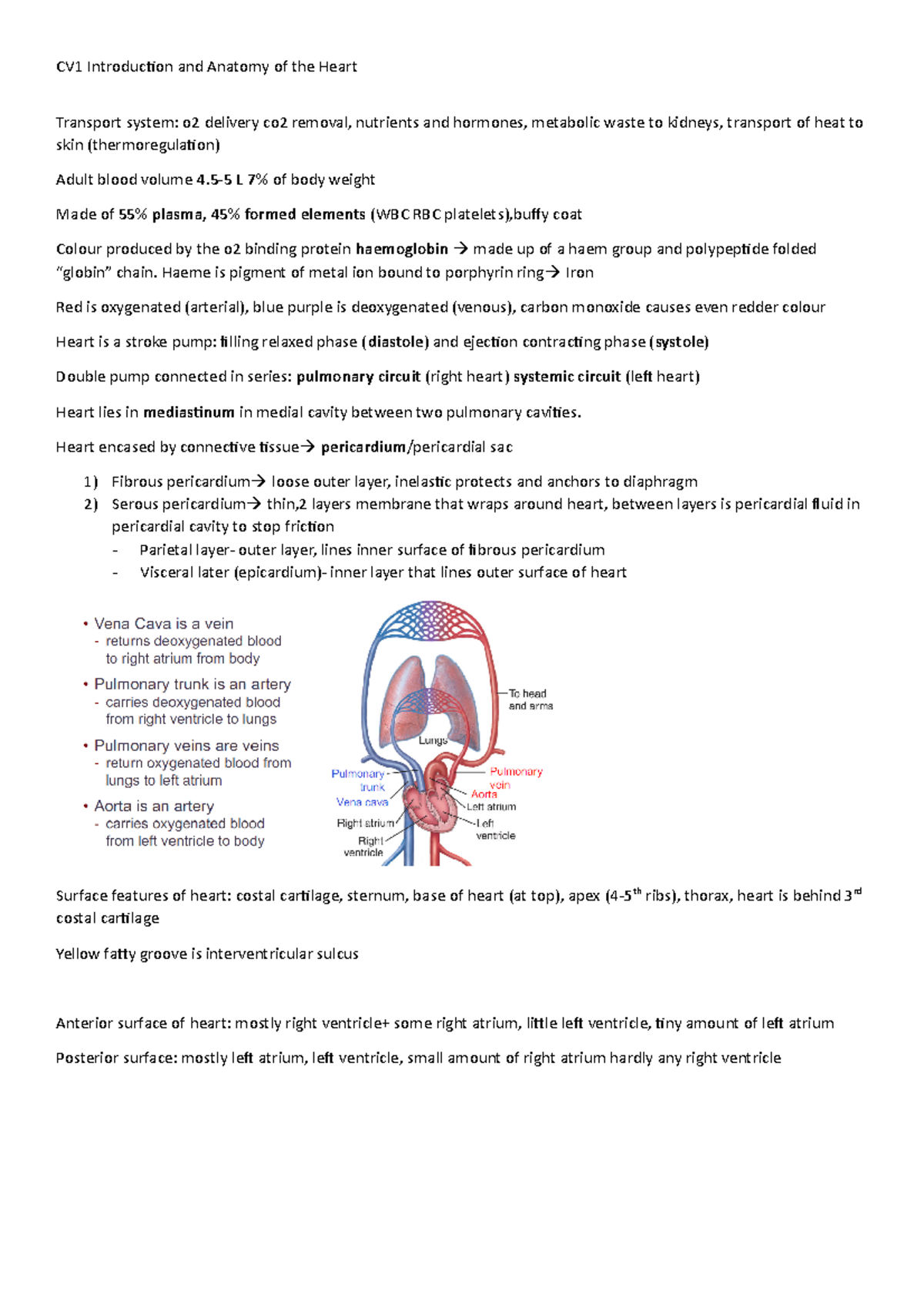 CVs1 lecure cheat sheet - CV1 Introduction and Anatomy of the Heart ...