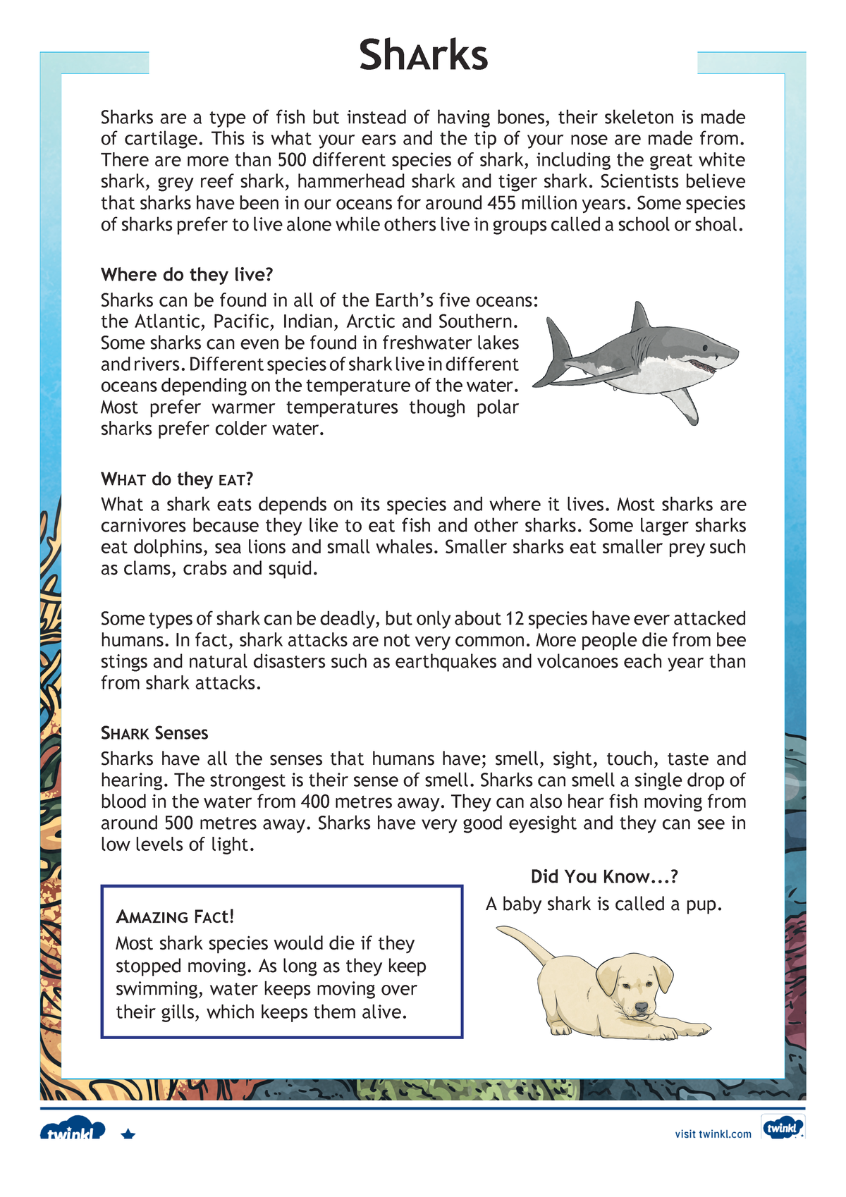 Sharks Differentiated Reading Comprehension Activity - ShArks Sharks