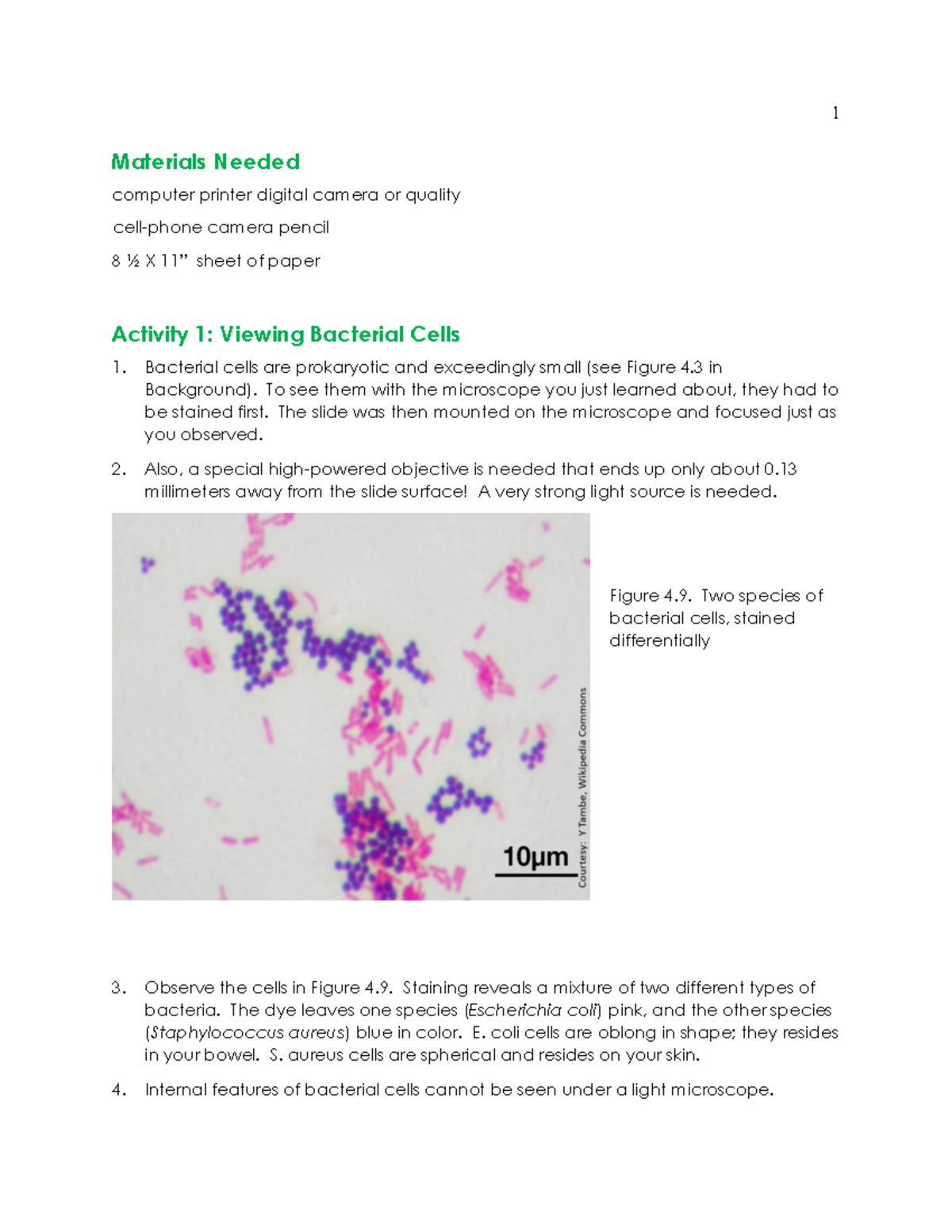 Cell Structure and Function Activities - Materials Needed computer ...