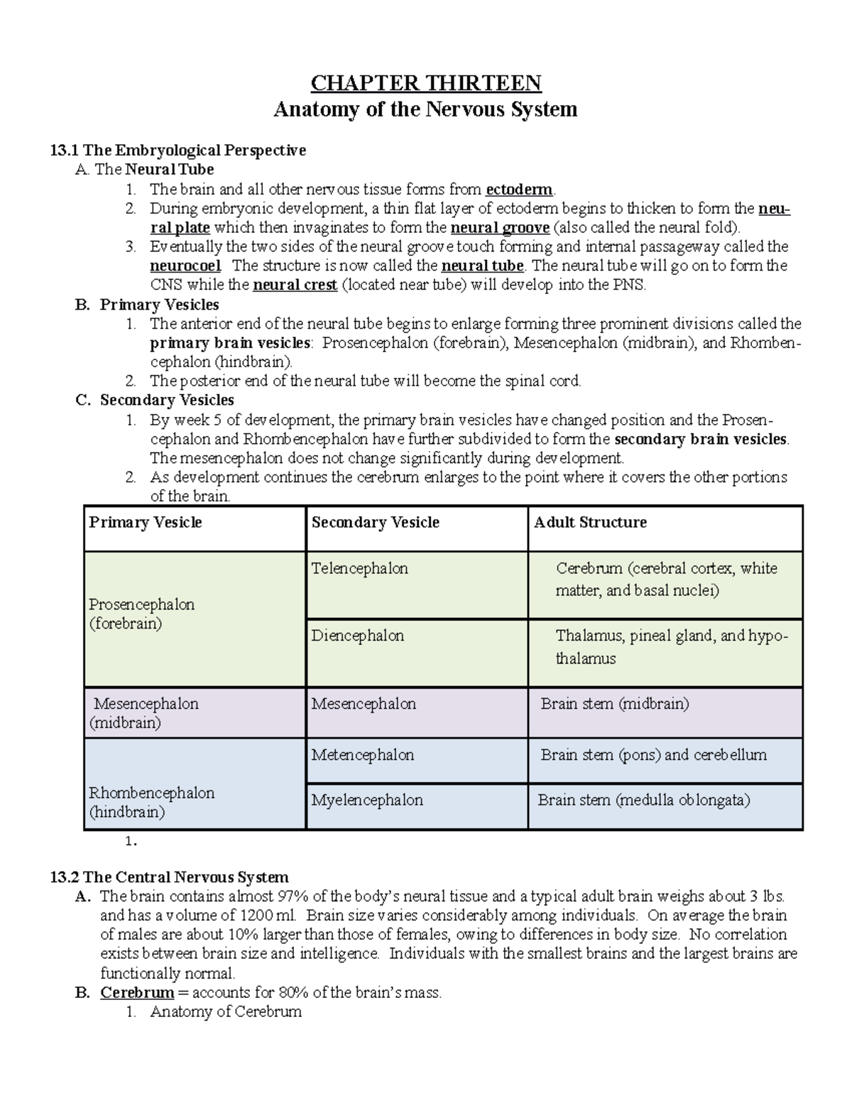 Chapter 13 Outline - anatomy - CHAPTER THIRTEEN Anatomy of the Nervous ...