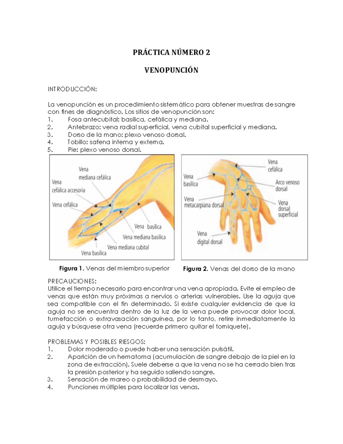 Practica 2 Venopunción - PRÁCTICA NÚMERO 2 VENOPUNCIÓN INTRODUCCIÓN: La ...