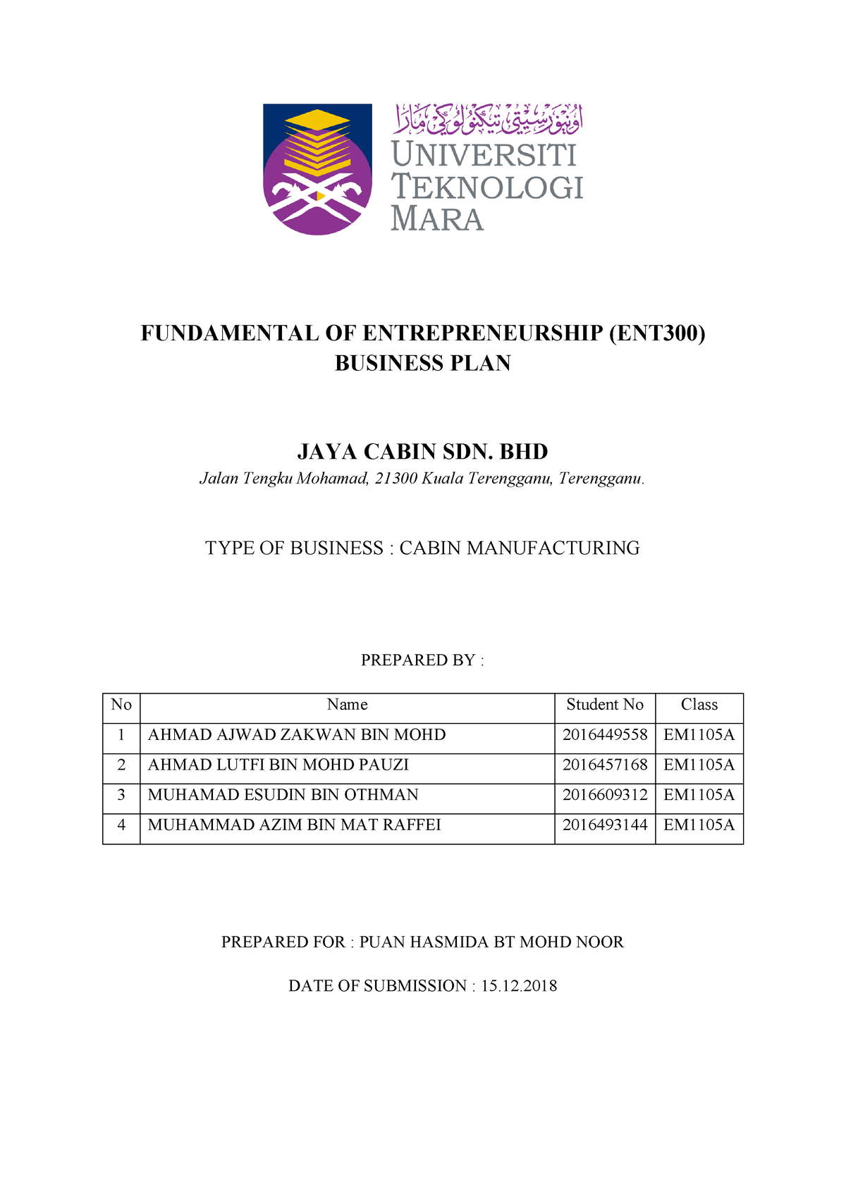 example business plan ent 300
