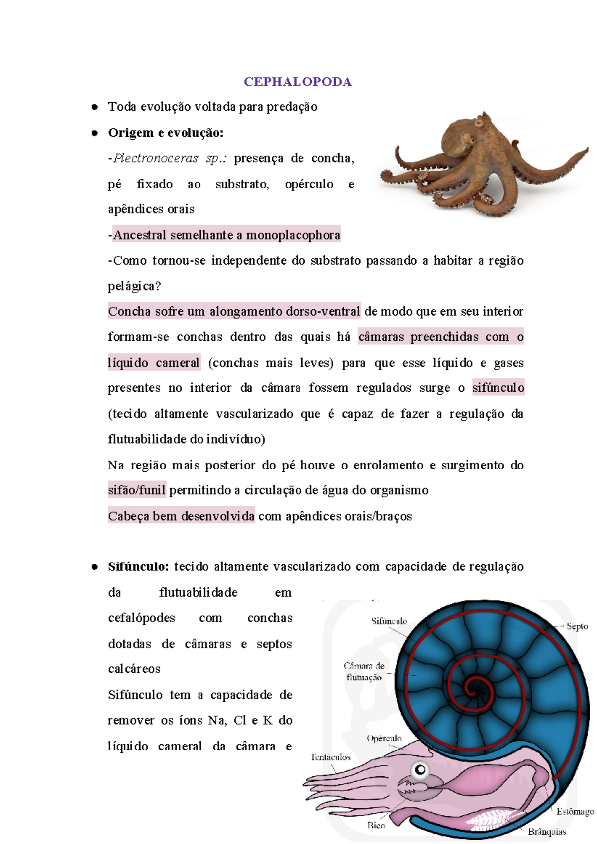 Ministério Cefas - Porquê CEFAS? A etimologia da palavra CEFAS denota do  Latim (Cephas), e significa ROCHA ou pedra. É originalmente citada várias  vezes na Bíblia Sagrada em Aramaico (Képhâs), com o