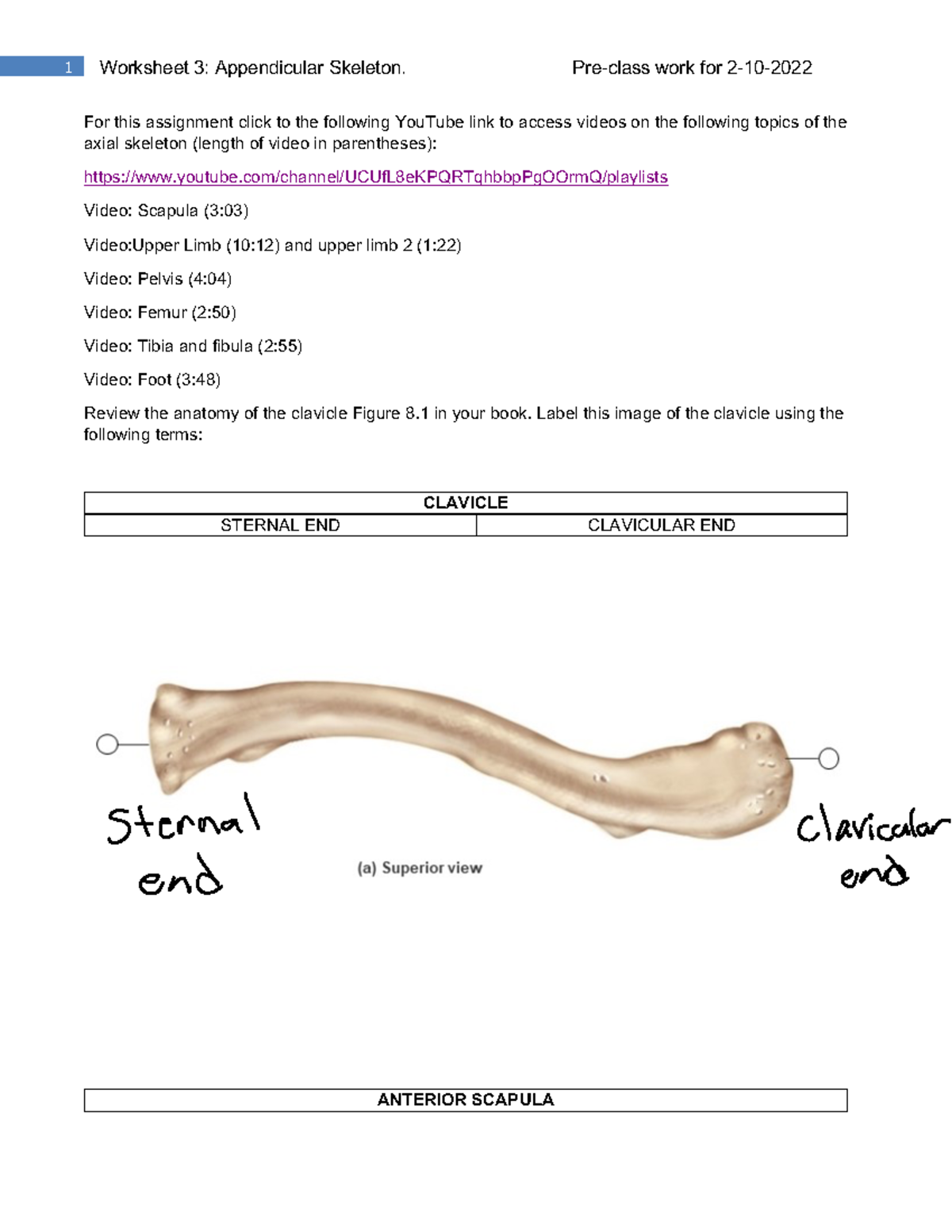 Worksheet+3 - notes - For this assignment click to the following ...
