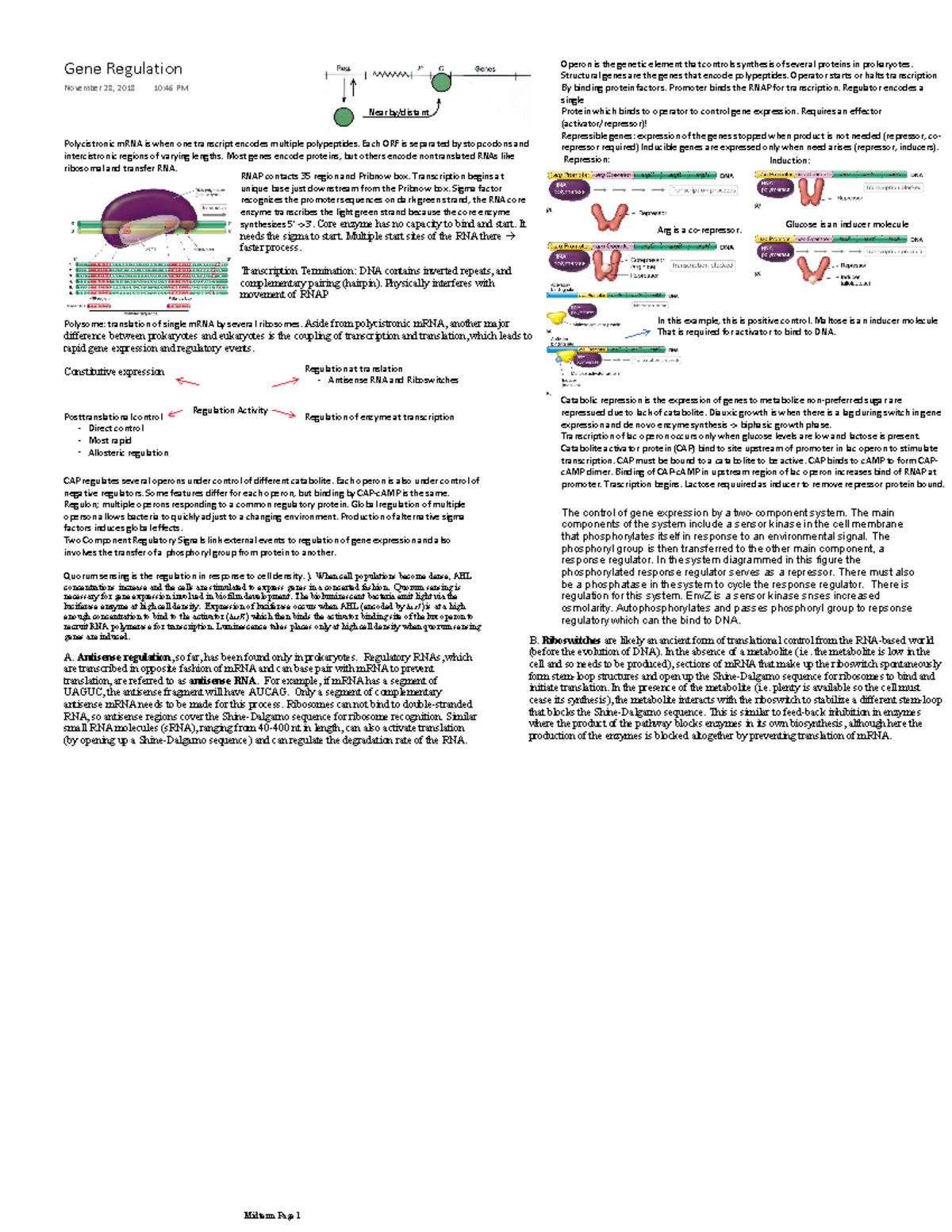 Regulation summary of topic lectures Gene Regulation November 28