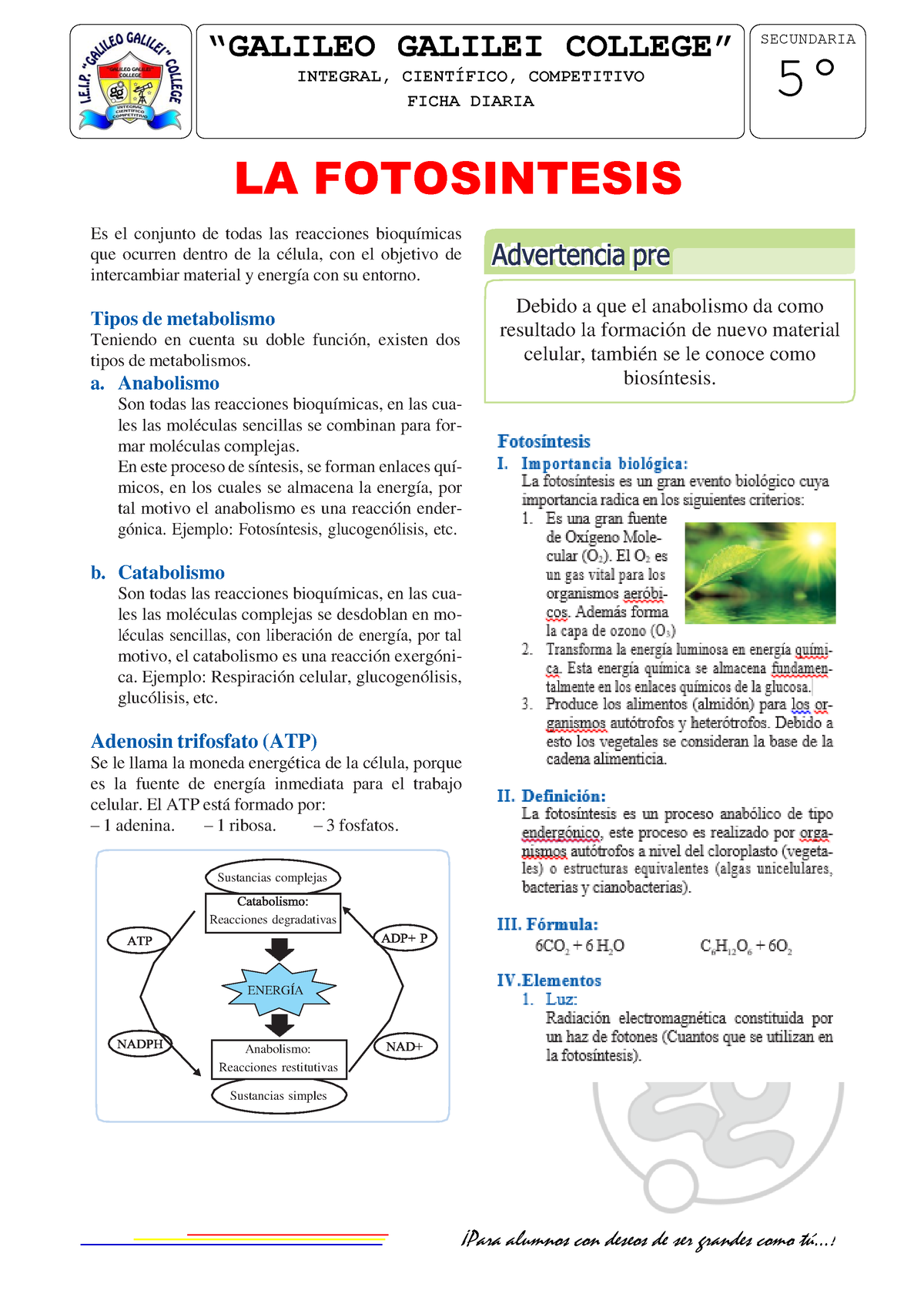 5° Secundaria Fotosíntesis Ficha Diaria “galileo Galilei College