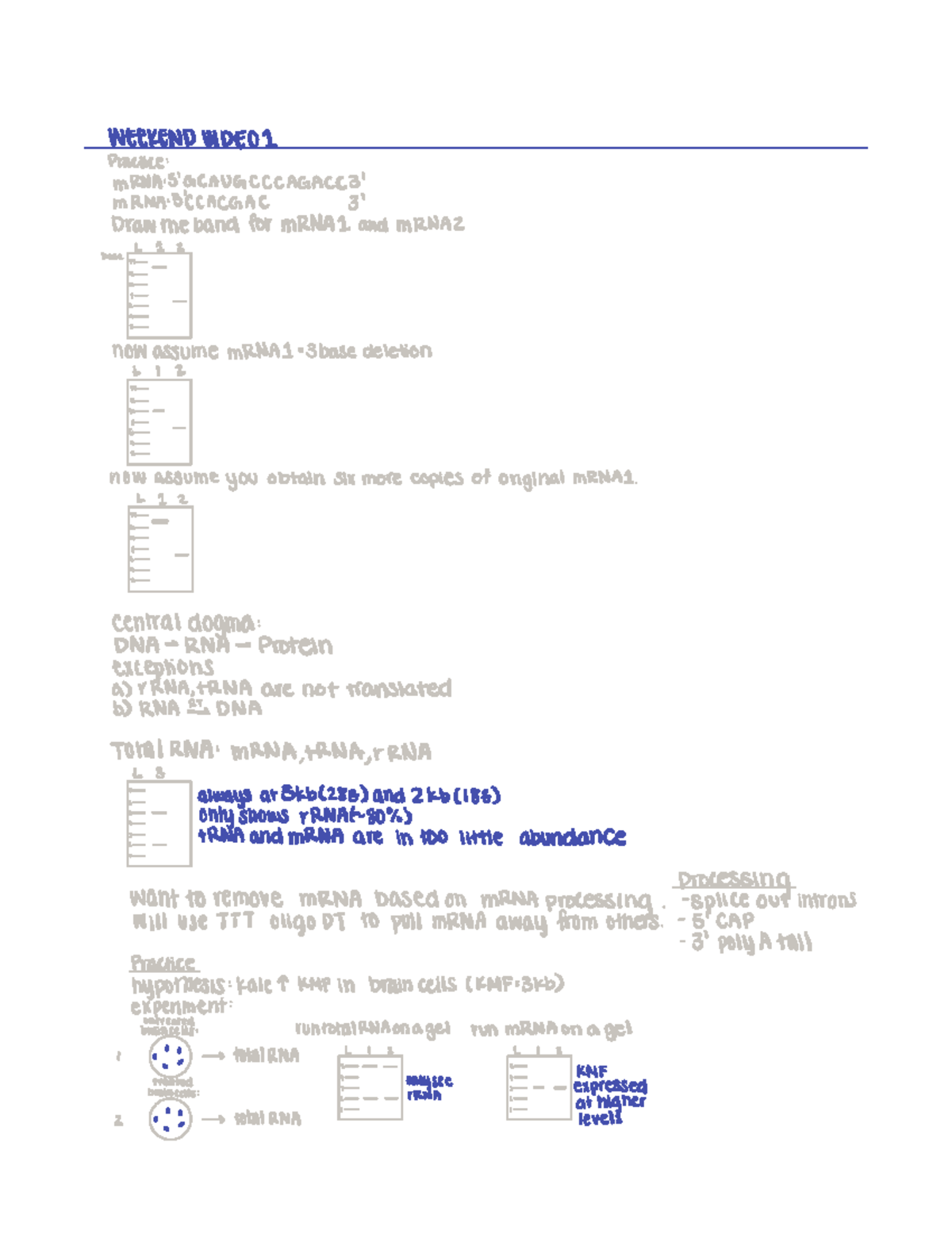 Compiled Weekend Video Notes - WEEKENDVIDEO I Practice ...