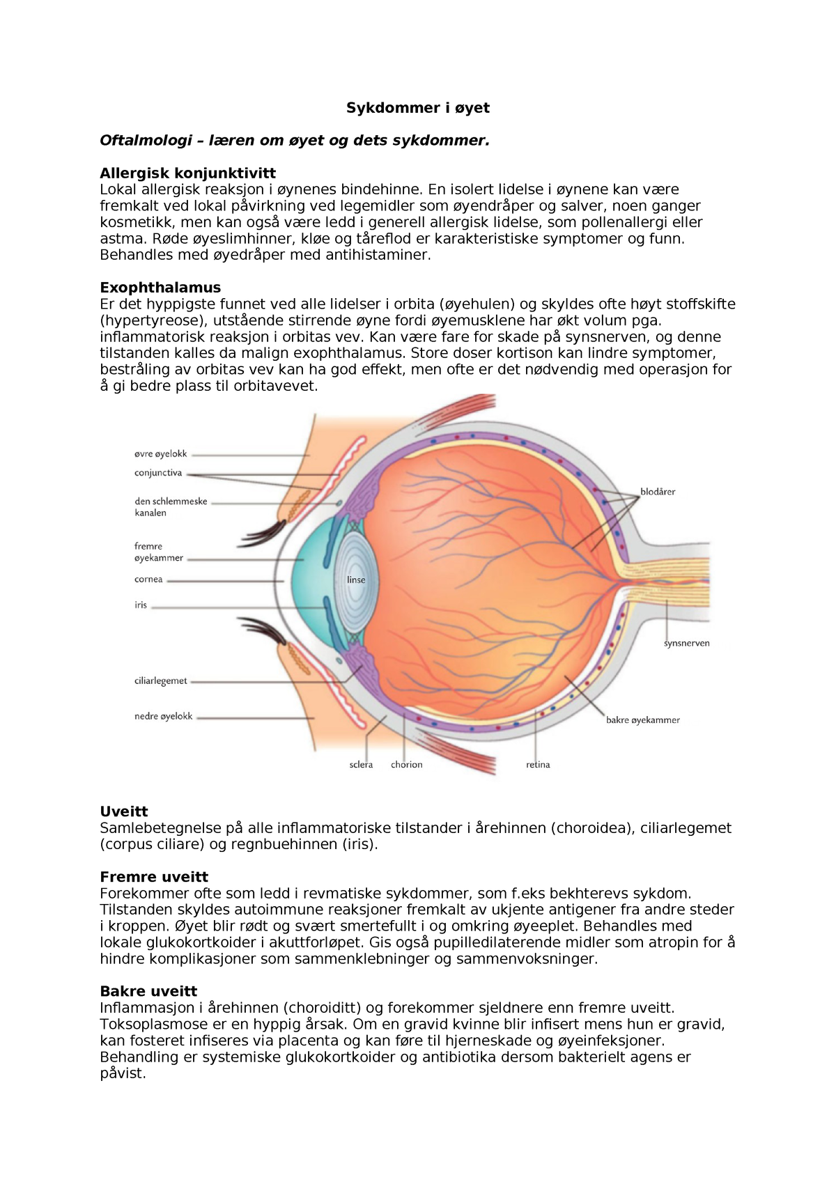 Sykdommer I Oyet Foredragsnotater Sykdomslaere Studocu