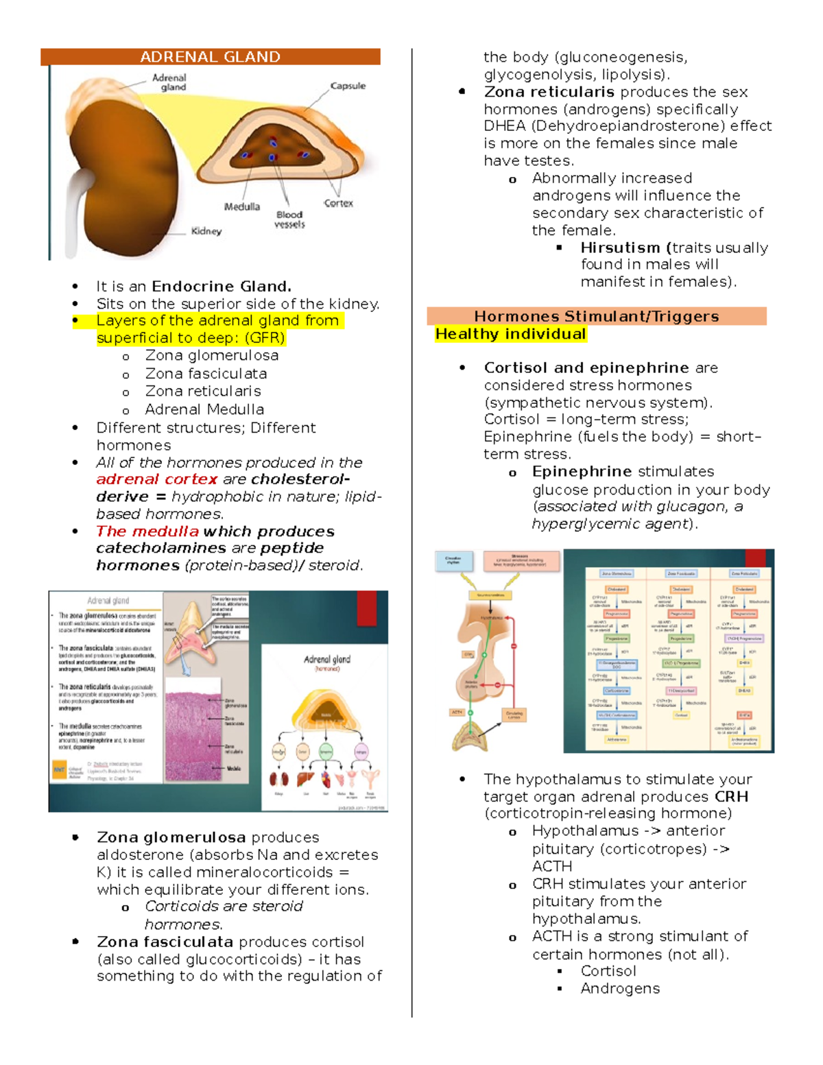 Adrenal Gland hope it helps ADRENAL GLAND It is an Endocrine Gland