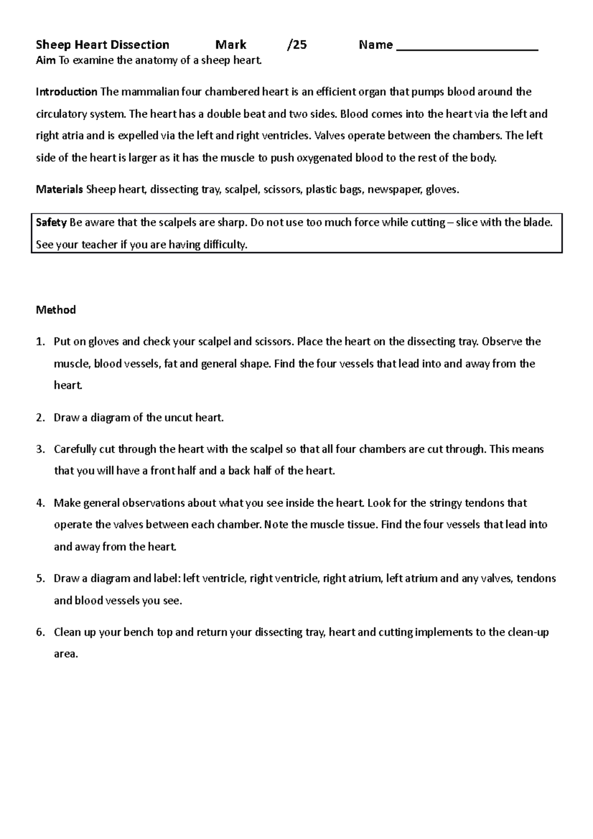 Sheep Heart Dissection Introduction The mammalian four chambered