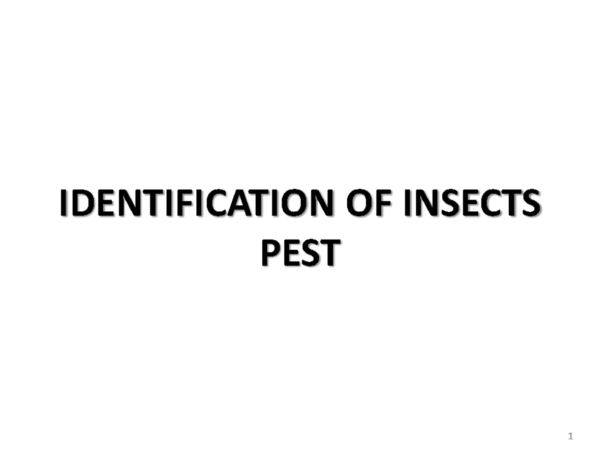 Chapter 1 Identification OF Insects PEST IDENTIFICATION OF INSECTS