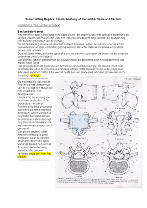 [Solved] Beschrijf De Circulatie In De Bovenste Extremiteit Vanaf De ...