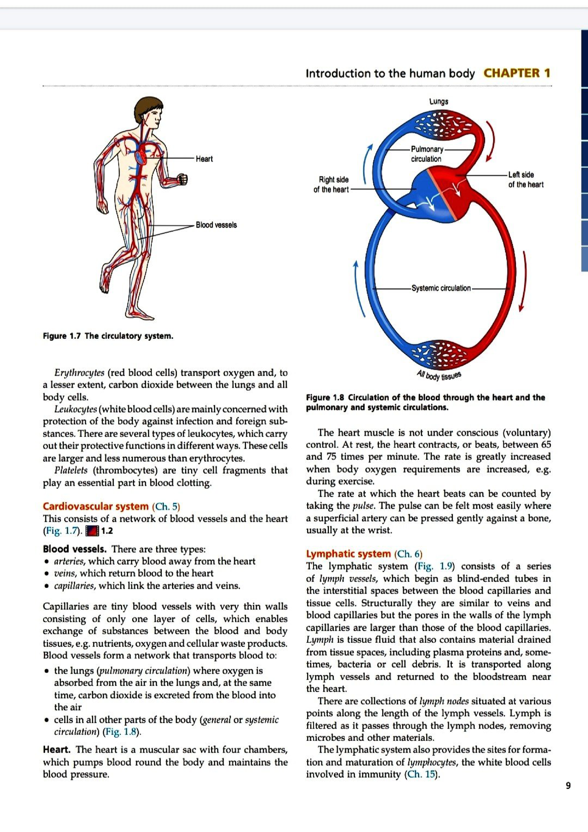 Cardiovascular System - Introduction And Syllabus - Studocu