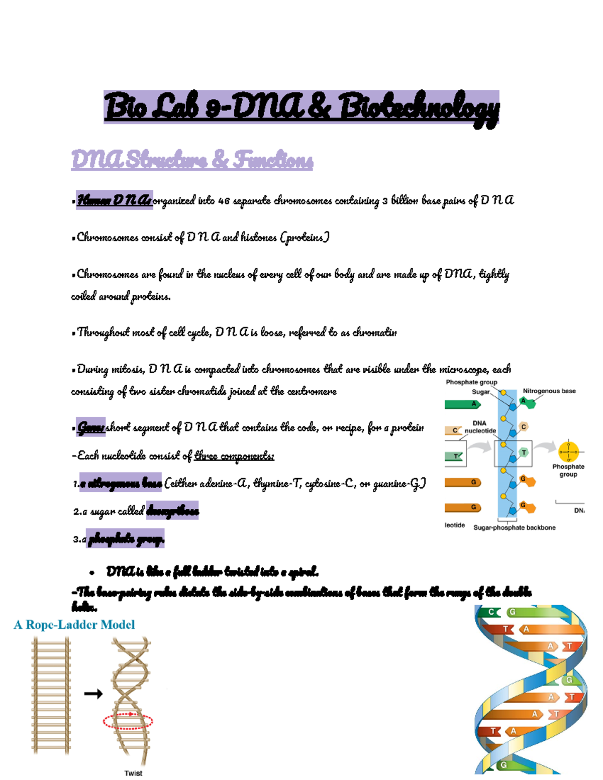 Bio Lab 9-DNA & Biotechnology - Bio Lab 9 - DNA & Biotechnology DNA ...