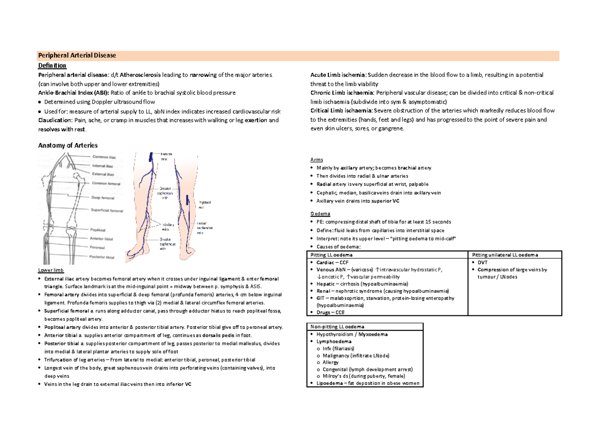 Peripheral Arterial Disease - (can involve both upper and lower ...