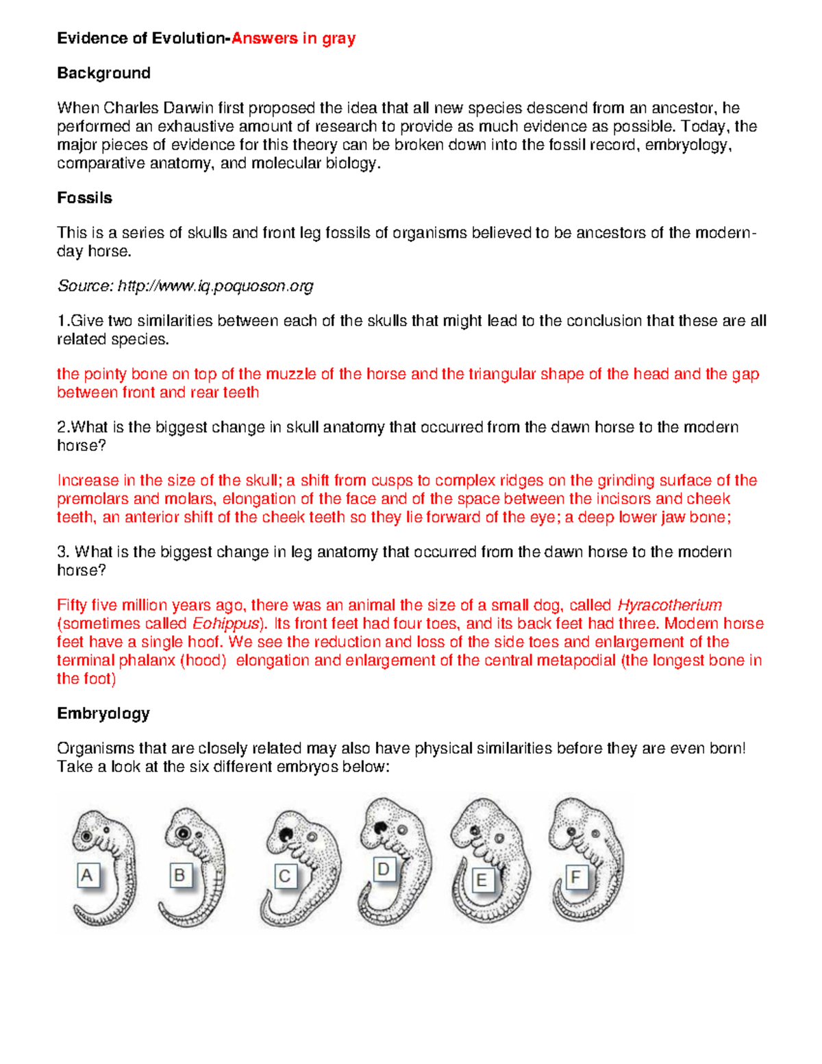 evidence-of-evolution-answers-evidence-of-evolution-answers-in-gray-background-when-charles