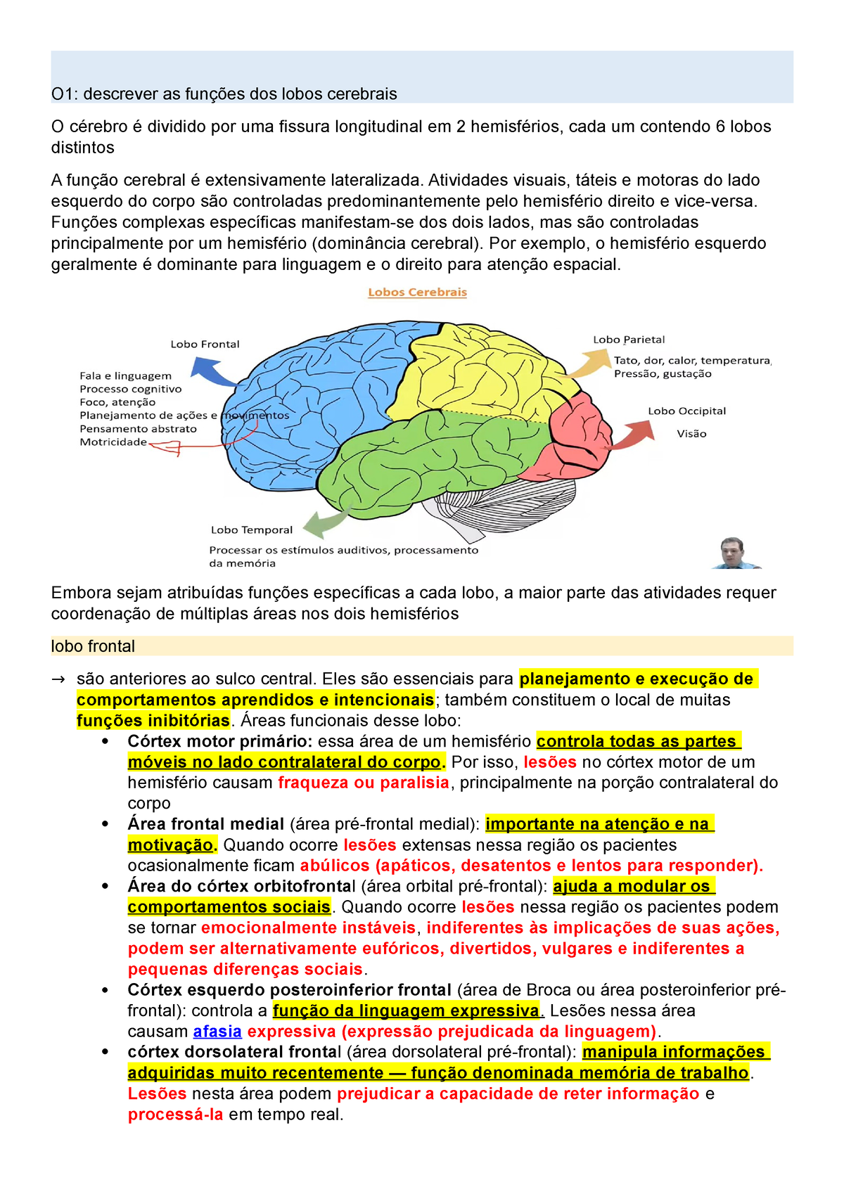 P1M3 - tutoria sobre TCE - O1: descrever as funções dos lobos cerebrais O  cérebro é dividido por uma - Studocu