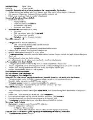 Ch6 - Chapter 6 A tour of a cell chapter assignment - Chapter 6: A Tour ...