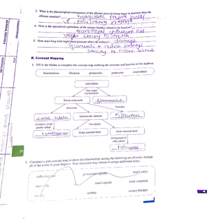 GMO+ Webquest - I am a student - I) HHMI Biointeractive: Popped Secret ...