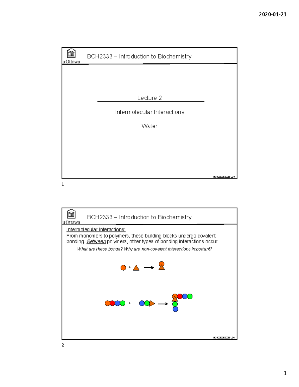 Lecture 2 - Warning: TT: Undefined Function: 32 BCH2333-2020 L2 ...