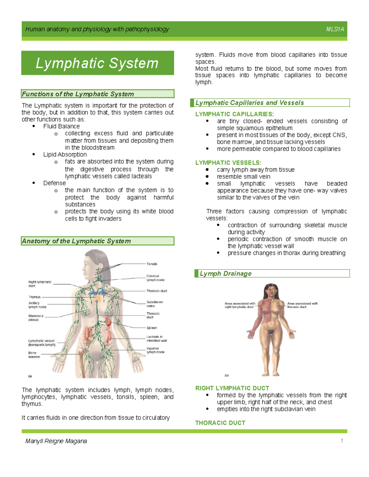 Lymphatic-System 2 - Anaphy - Lymphatic System Functions of the ...