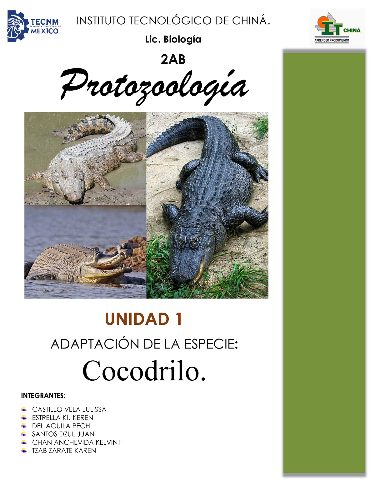 Protozoologia Cocodrilo 2 - INSTITUTO DE Lic. 2AB UNIDAD 1 DE LA ESPECIE:  Cocodrilo. INTEGRANTES: - Studocu