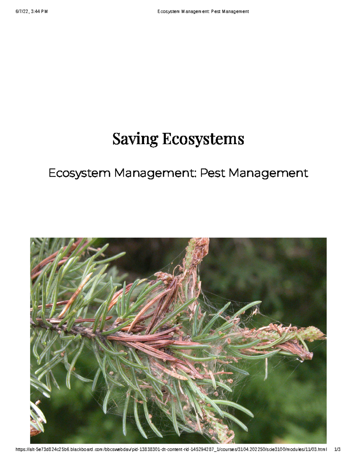 Ecosystem Management Pest Management 6/7/22, 344 PM Ecosystem