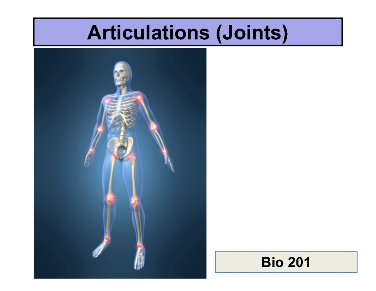 BIO 3 - biology powerpoint - Articulations (Joints) Bio 201 ...