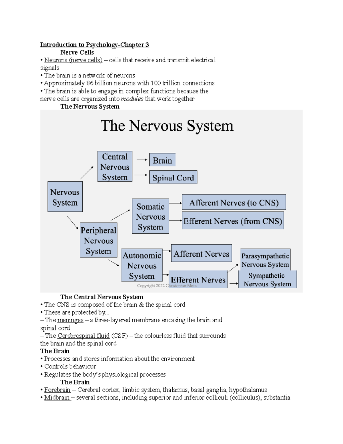 Psych 1001 Midterm 2 - N/A - Introduction To Psychology-Chapter 3 Nerve ...