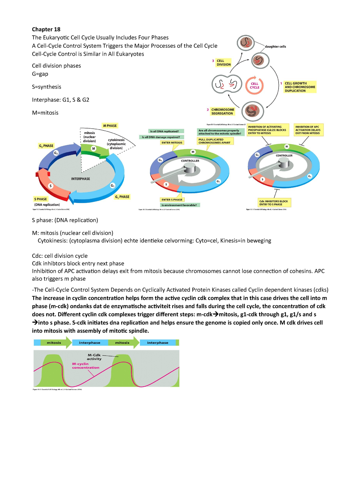 Chapter 18 - Summary Essential Cell Biology - StudeerSnel