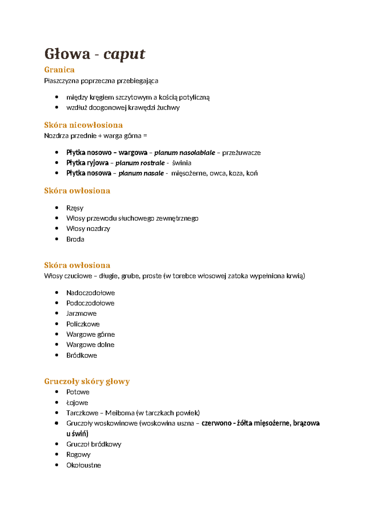 Głowa Wykład 1 - notatki z anatomii topograficznej - Głowa - caput ...