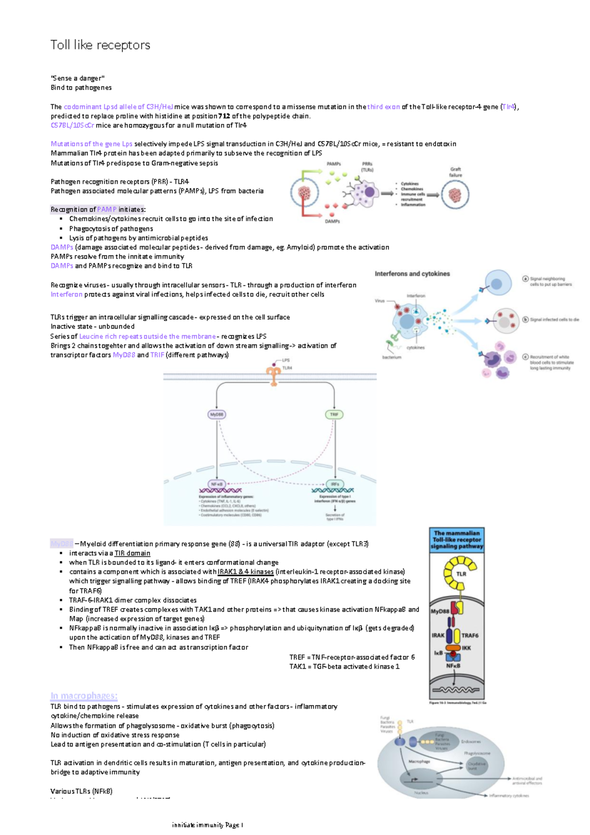 Toll like receptors - Lecture summary - in detail - "Sense a danger ...