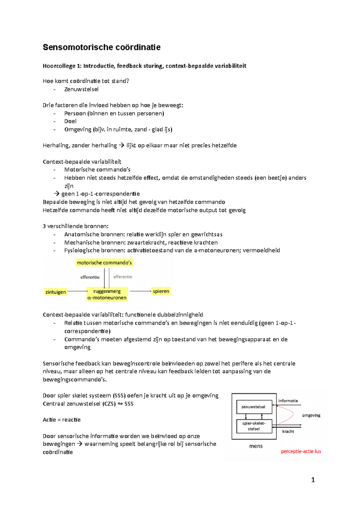 Hoorcolleges Sensomotorische Coördinatie - Sensomotorische Coördinatie ...