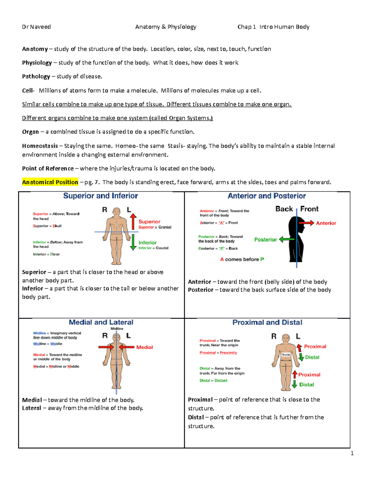 Ch 1 Intro Human Body - Dr Naveed Anatomy & Physiology Chap 1 Intro ...