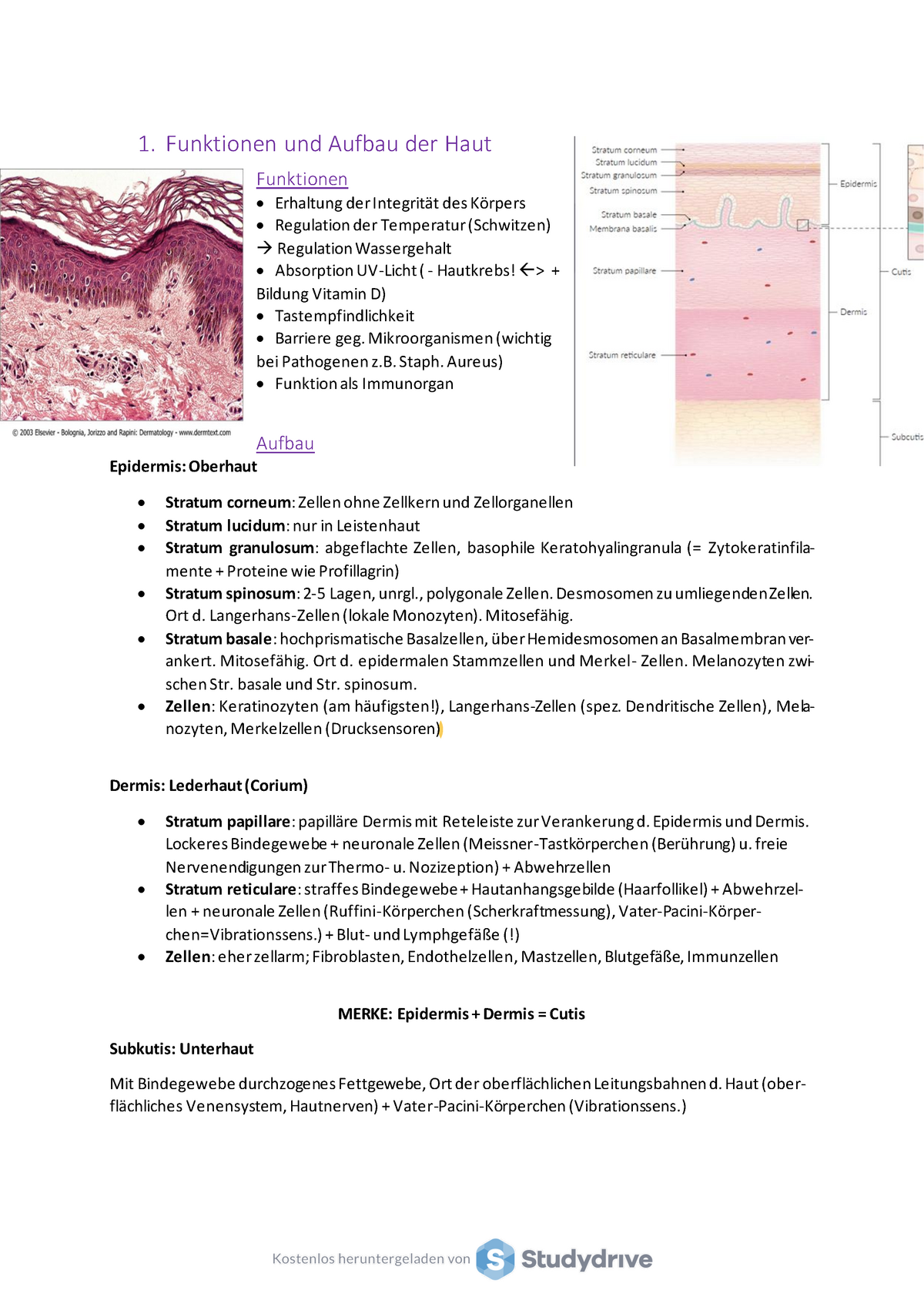 Zusammenfassung Dermatologie - 1. Funktionen Und Aufbau Der Haut ...