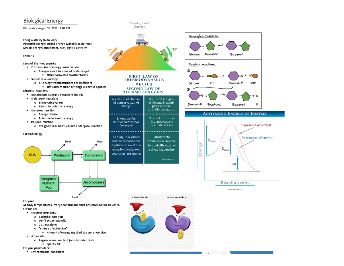 Biological energy Dr. Zhong Biological Energy Wednesday, August 31