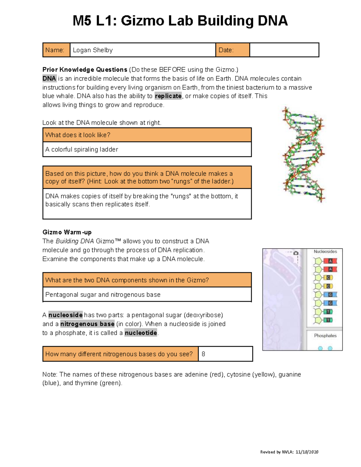 copy-of-m5-l1-gizmo-lab-building-dna-name-logan-shelby-date-prior