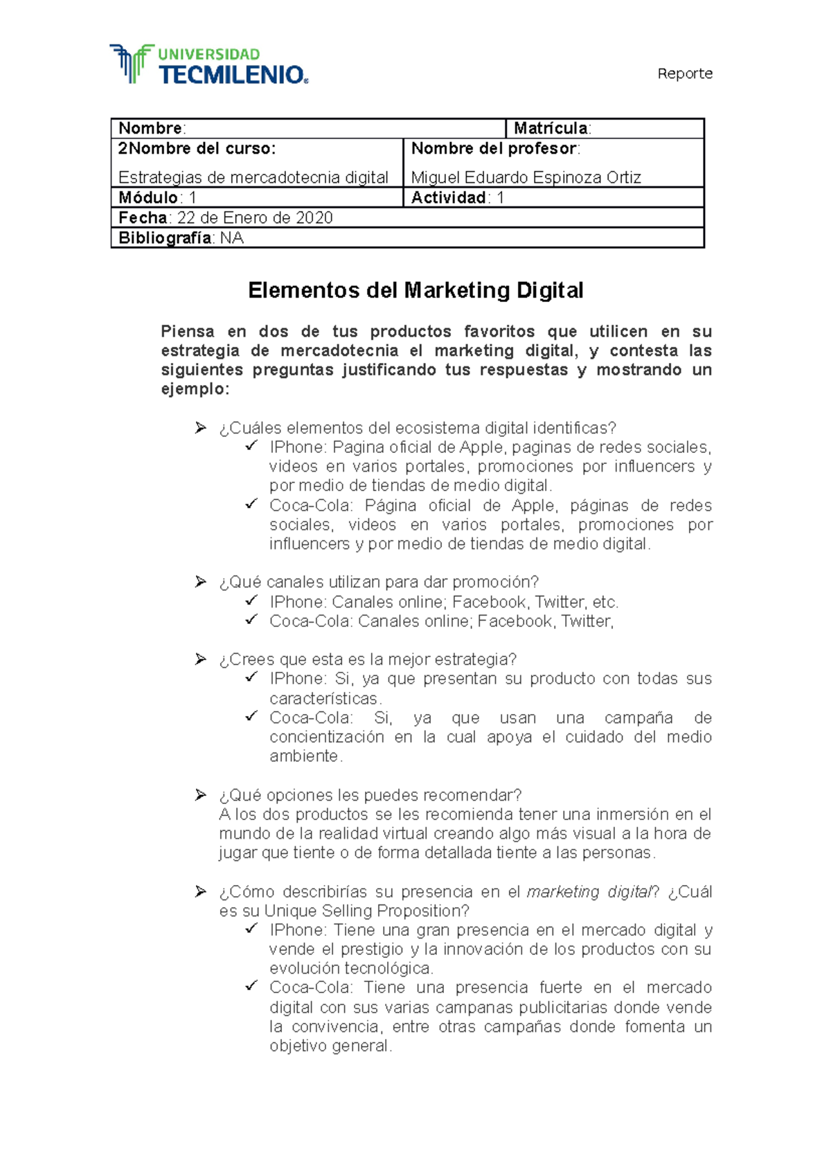 Act, 1 - Estrategias de Mercadotecnia Digital - Reporte Nombre ...