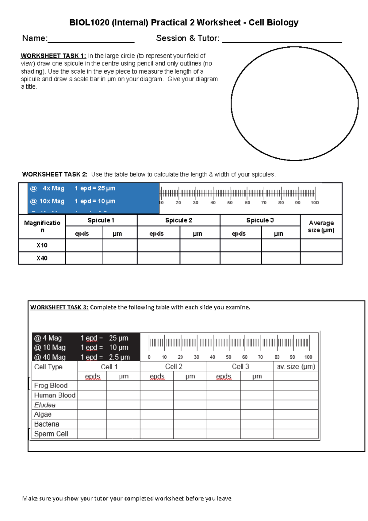 BIOL1020 Prac 2 - Microscopy Worksheet (Internal) - BIOL1020 (Internal ...