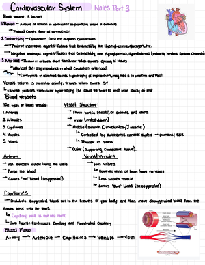 Blood Notes - First immune cells to respond. They ingest microorganisms ...