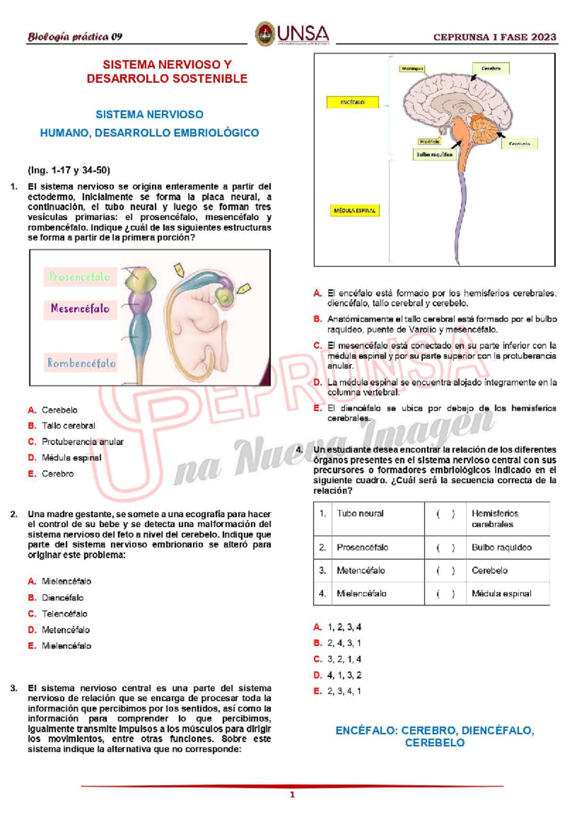 1. Práctica N° 09 Biología - Ceprunsa I FASE 2023 - Biologia - Studocu