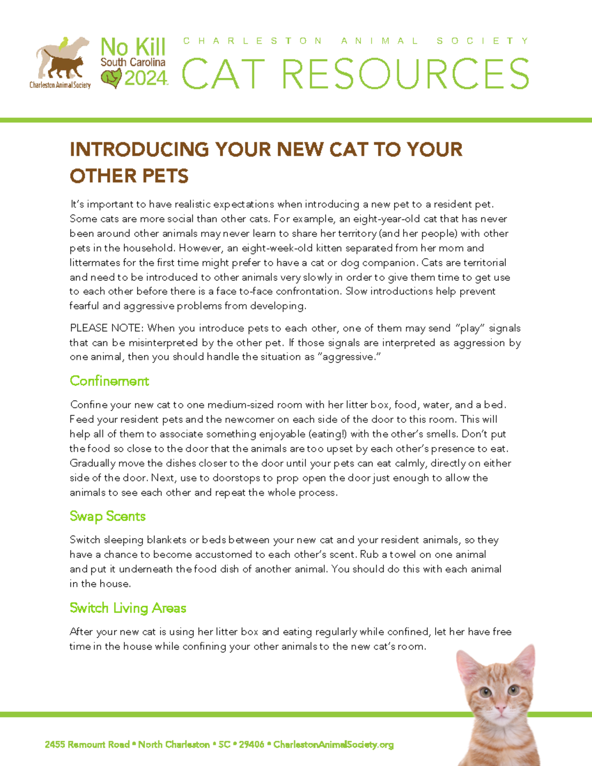 CatIntroducions Useless INTRODUCING YOUR NEW CAT TO YOUR OTHER